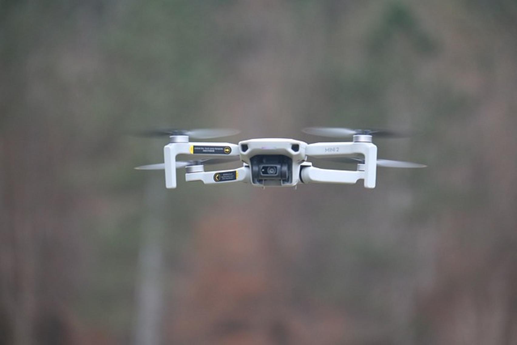 cómo hacer que el DJI Mini 2 vuelva a funcionar
