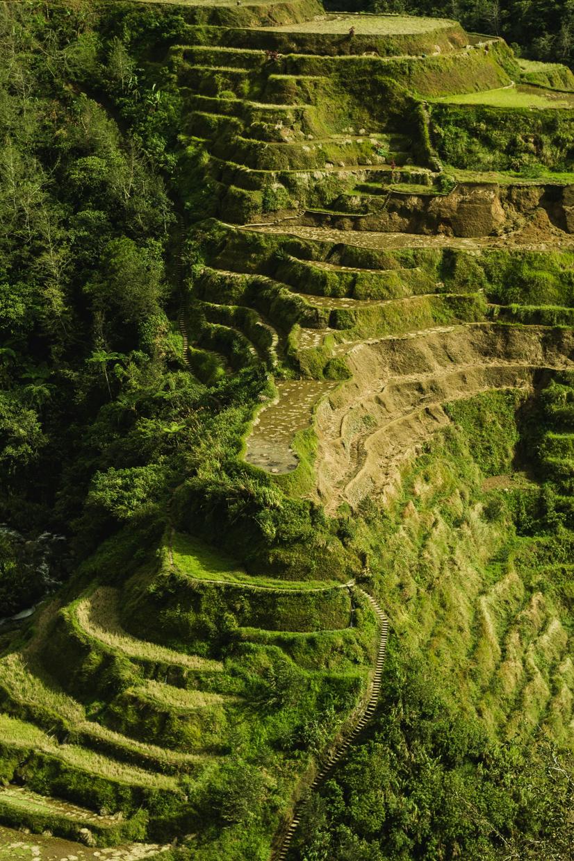 el dron más rápido del mundo